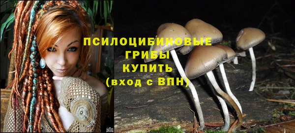 бутират Касимов